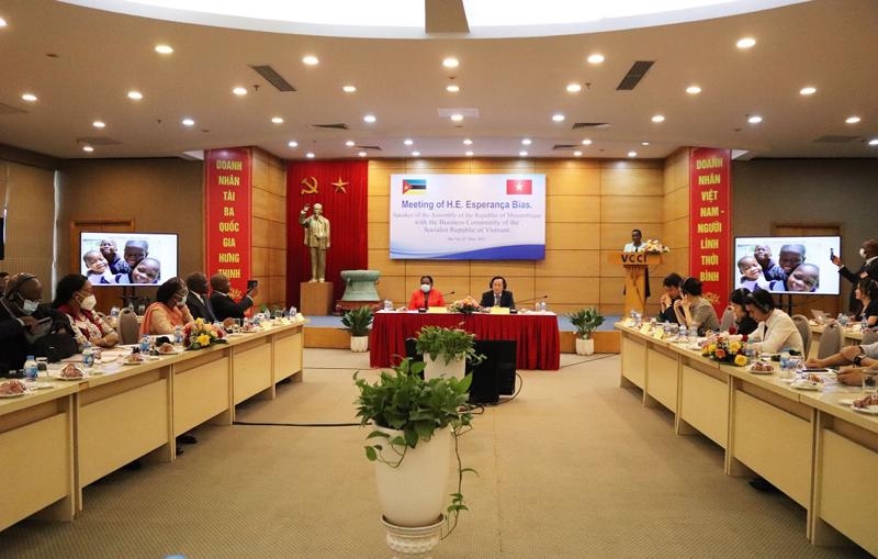 Vietnam & Mozambique look to new stage of economic relationship