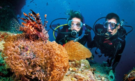 Tạm dừng dịch vụ du lịch lặn biển để cứu san hô tại Hòn Mun, Nha Trang