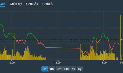 “Chấp” VN-Index đỏ, 125 cổ phiếu tăng kịch trần toàn thị trường