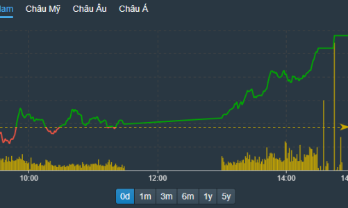 Bên mua hưng phấn cao, VN-Index tăng gần 20 điểm, dầu khí, ngân hàng dẫn sóng