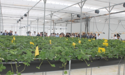 Hàn Quốc hỗ trợ Việt Nam phát triển nông nghiệp thông minh