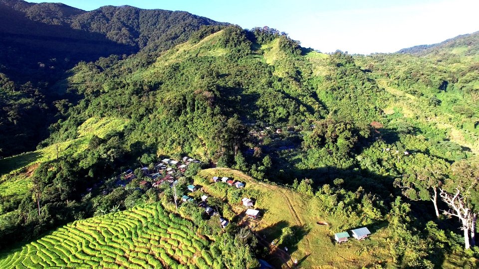 Khu vực huyện Nam Trà My, tỉnh Quảng Nam, nơi trồng sâm Ngọc Linh.