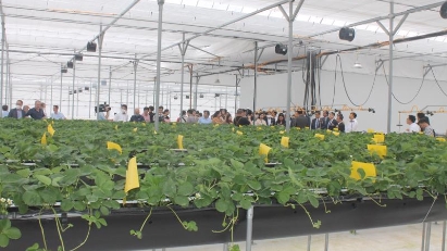 South Korea helping develop smart agriculture