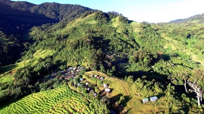 Quang Nam seeks permisson to build road to Ngoc Linh ginseng area