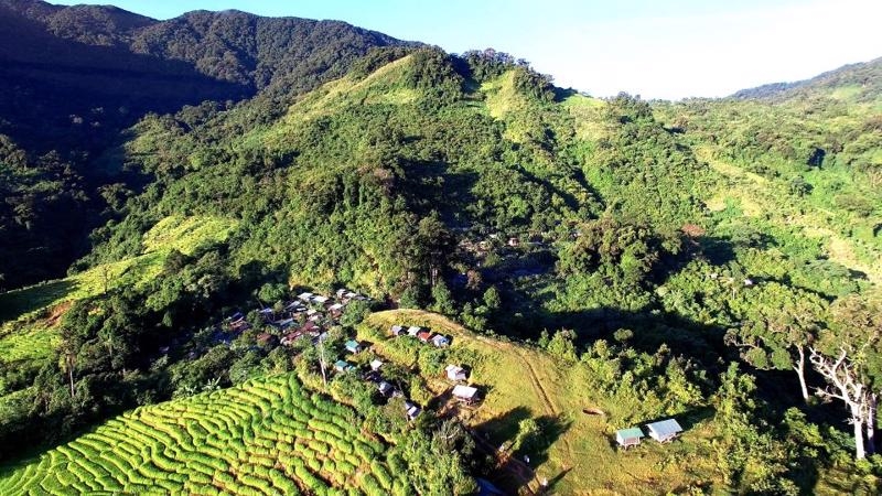 Quang Nam seeks permisson to build road to Ngoc Linh ginseng area