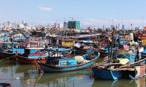 Giá xăng tăng cao, hàng loạt tàu cá ngừng hoạt động, Bộ Nông nghiệp đề nghị hỗ trợ khẩn