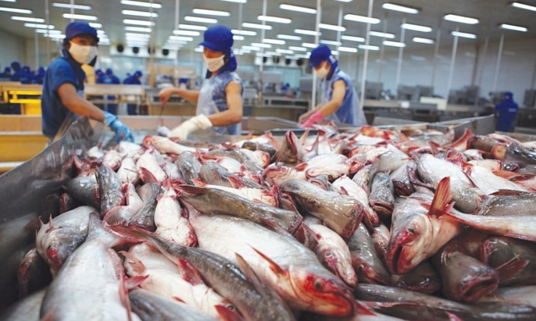 Sản phẩm cá tra đông lạnh sẽ được hưởng thuế EVFTA 0% sau 3 năm.