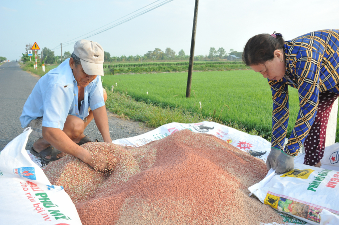  Giá phân bón thế giới đột ngột giảm mạnh trong tháng 6/2022, giúp giá phân bón trong nước “hạ nhiệt”. Ảnh minh hoạ.