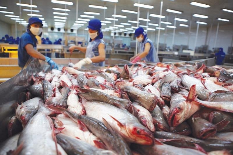 Difficulties facing seafood exporters looking at Scandinavia