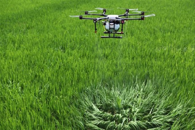 M&aacute;y bay kh&ocirc;ng người l&aacute;i tại Ki&ecirc;n Giang.