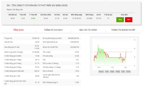 DIG bị cưỡng chế hơn 30 tỷ đồng tiền thuế