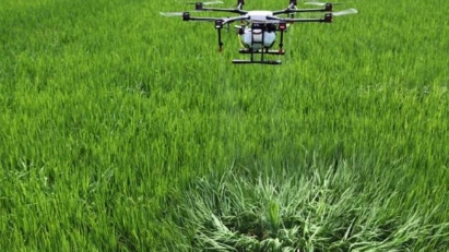 Carbon credits a valuable resource