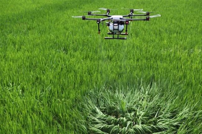 Carbon credits a valuable resource