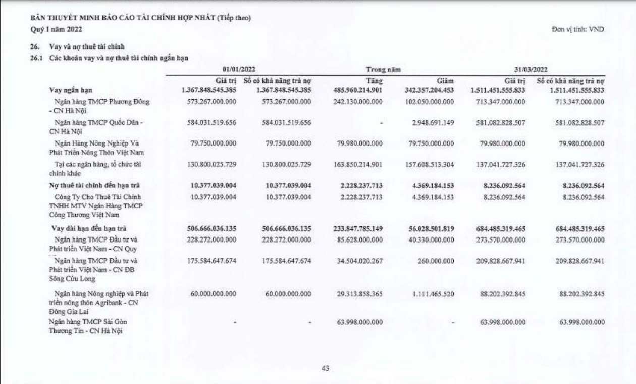 BCTC qu&yacute; 1/2022 của FLC