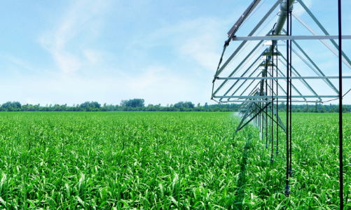 SBT - Toàn diện chuỗi cung ứng trên nền tảng phát triển bền vững