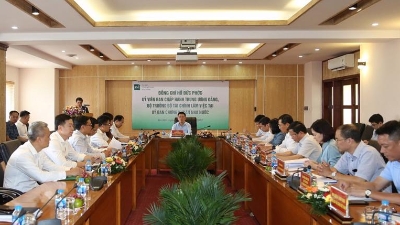 Stock market to be stabilized to secure upgrade