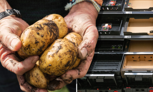 Ngành F&B toàn cầu khốn đốn vì thiếu thực phẩm