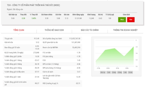 TDH được giảm 45 tỷ đồng tiền bị cưỡng chế thuế về 79,88 tỷ đồng