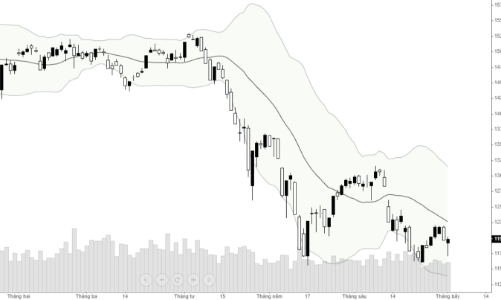Xu thế dòng tiền: Niềm tin thị trường tạo đáy vẫn còn