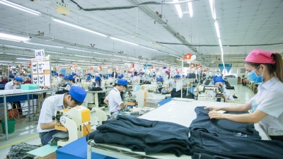 1H policy credit up 11.6%