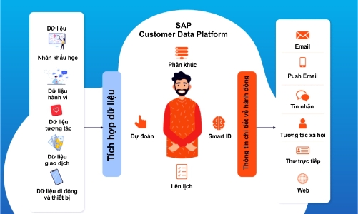 Nền tảng dữ liệu khách hàng SAP CDP và ứng dụng trong các ngành nghề