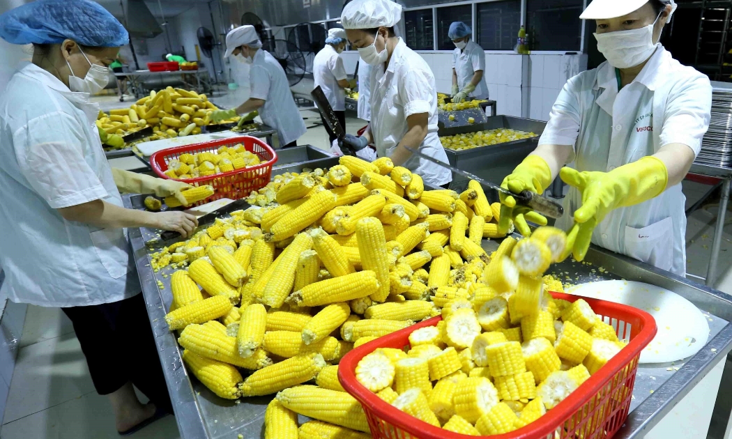 Các nước nhập khẩu ngày càng thắt chặt kiểm soát an toàn thực phẩm.