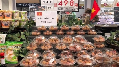 Vietnamese Products Week held in Japan