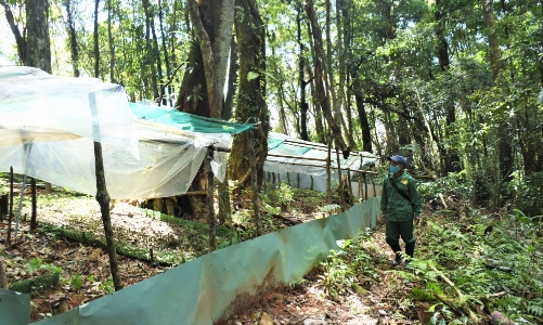 Đề xuất cho thương nhân hoạt động tại vùng khó khăn vay tối đa 1 tỷ với lãi suất thấp