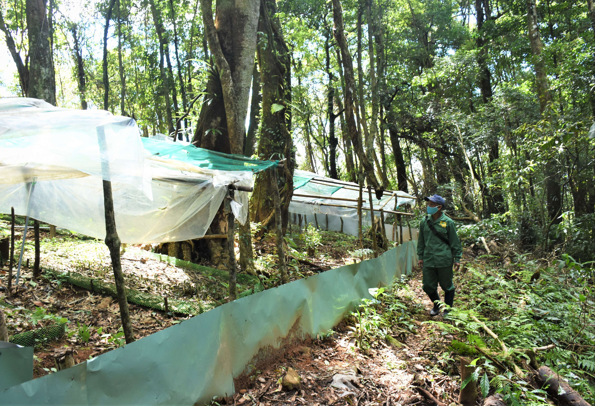 Nông dân, thương nhân tại nhiều vùng khó khăn sẽ được nâng mức hỗ trợ trong thời gian tới