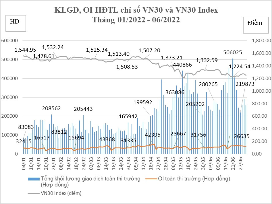 Tổng hợp giao dịch HĐTL chỉ số VN30 tháng 6/2022