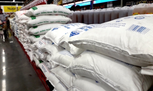 Phân giao hạn ngạch thuế quan nhập khẩu đường theo phương thức đấu giá