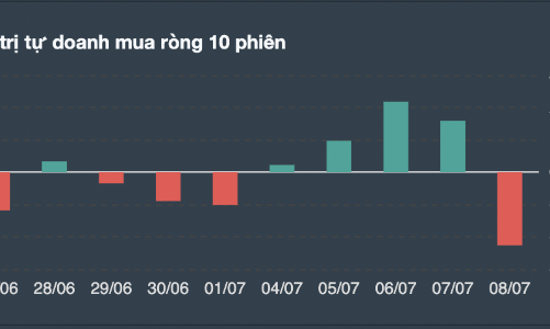 Tự doanh quay ngoắt 