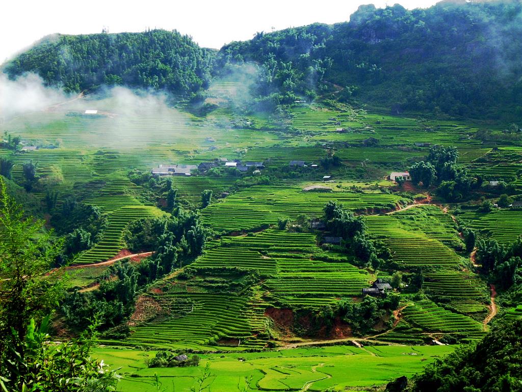 Ảnh minh họa.