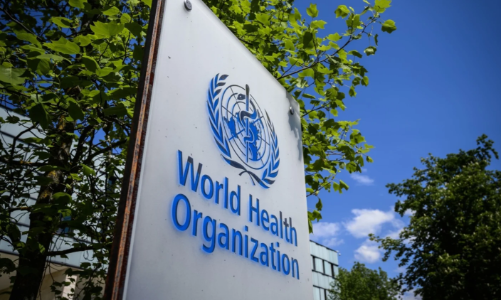 WHO lại muốn họp khẩn vì diễn biến mới của dịch đậu mùa khỉ