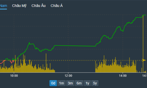 Bên mua nâng giá mạnh, cổ phiếu tăng kịch trần cả loạt
