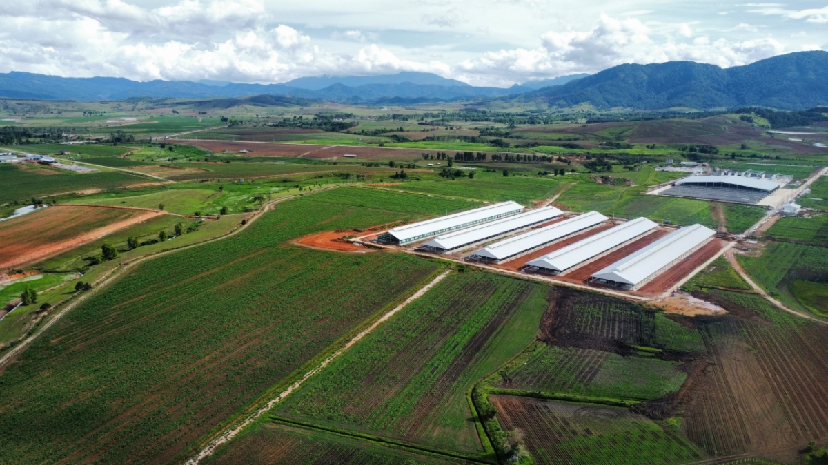 Khu vực chuồng trại đ&atilde; được x&acirc;y dựng ho&agrave;n tất, sẵn s&agrave;ng đ&oacute;n c&aacute;c đ&agrave;n b&ograve; sữa nhập khẩu đầu ti&ecirc;n về trang trại.