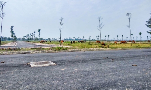 Hải Phòng gia hạn sử dụng đất cho hàng loạt dự án