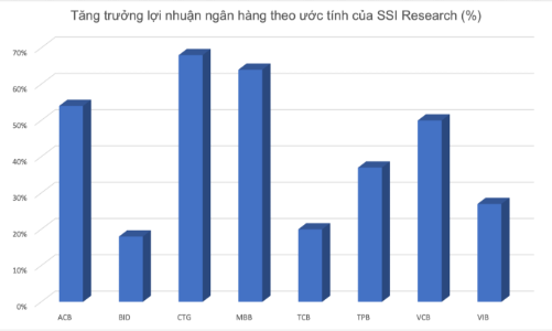 Ngân hàng nào tăng trưởng lợi nhuận cao nhất trong quý 2/2022?