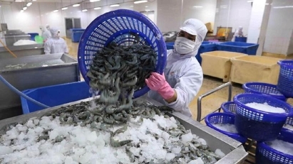Shrimp processing facing material shortages