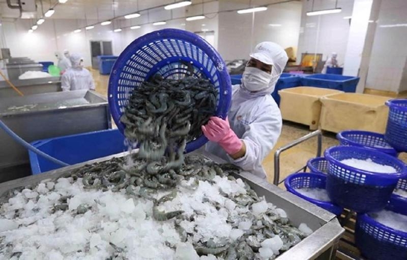 Shrimp processing facing material shortages