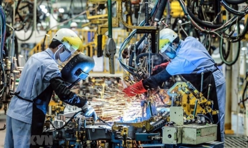 Vĩnh Phúc kêu gọi doanh nghiệp Tochigi, Nhật Bản đầu tư vào 4 lĩnh vực ưu tiên