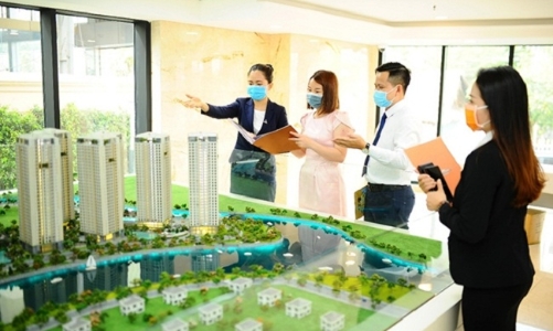 Yêu cầu tạm dừng hoạt động của 13 văn phòng bất động sản ở Móng Cái