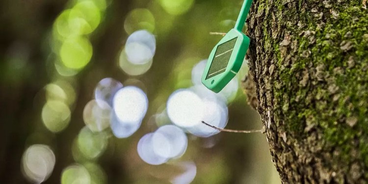 Smart One, cảm biến đám cháy