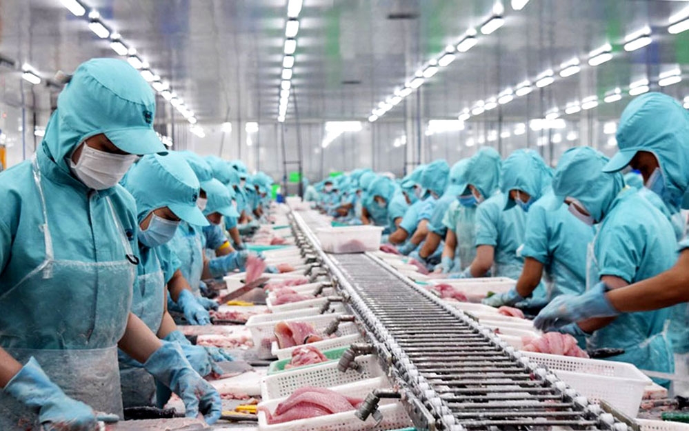 CPTPP có nhu cầu tiêu thụ lớn đối với thuỷ sản. 