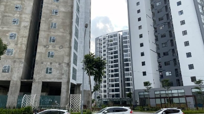 MoC reports on real estate market