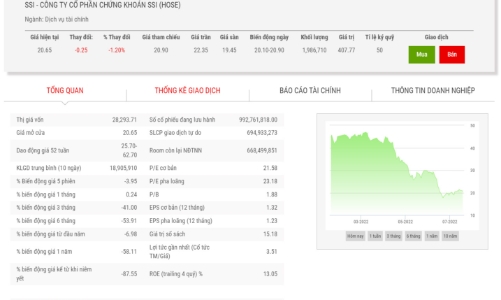 Nhóm cổ đông liên quan đến ông Nguyễn Duy Hưng bán hơn 151,6 triệu quyền mua SSI