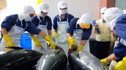 1H tuna exports up 56%