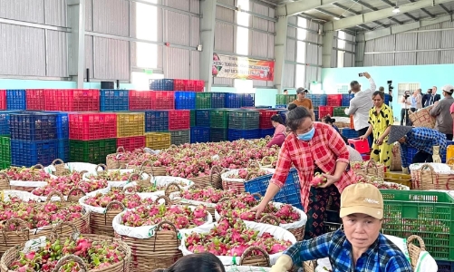 Hình thành tập đoàn, doanh nghiệp chế biến nông sản hiện đại 