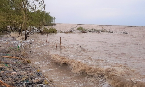 Sạt lở đê Biển Tây nghiêm trọng, Cà Mau công bố tình huống khẩn cấp