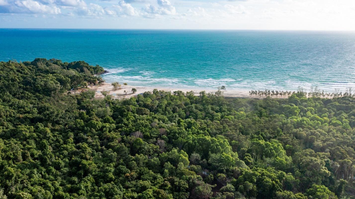 Thiên nhiên tuyệt mỹ tại Bãi Dài.